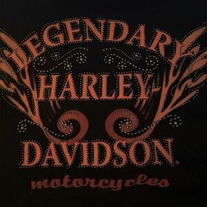 womans vintage harley davidson polo